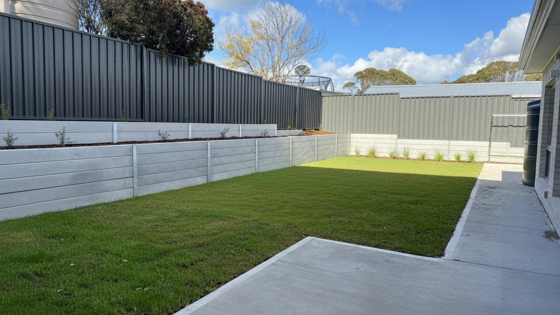 Backyard