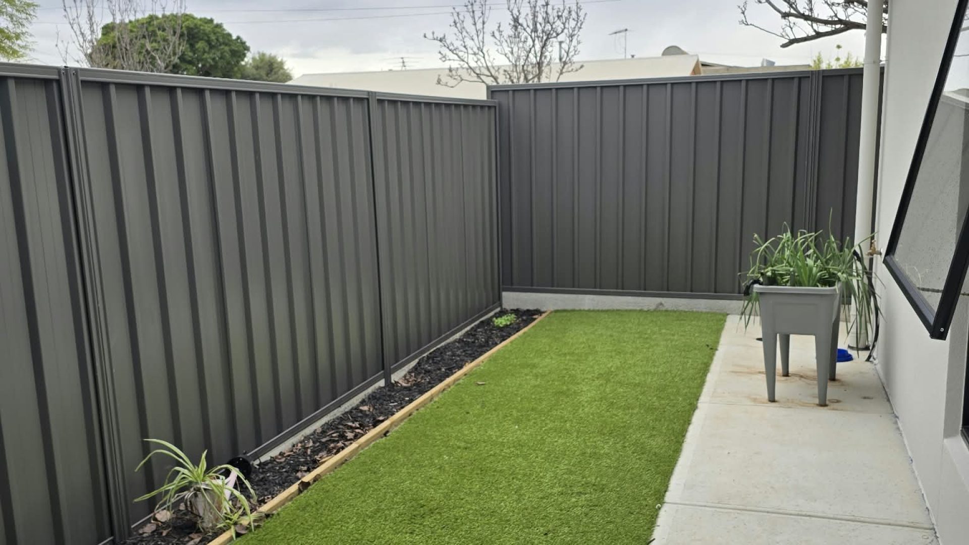 Backyard