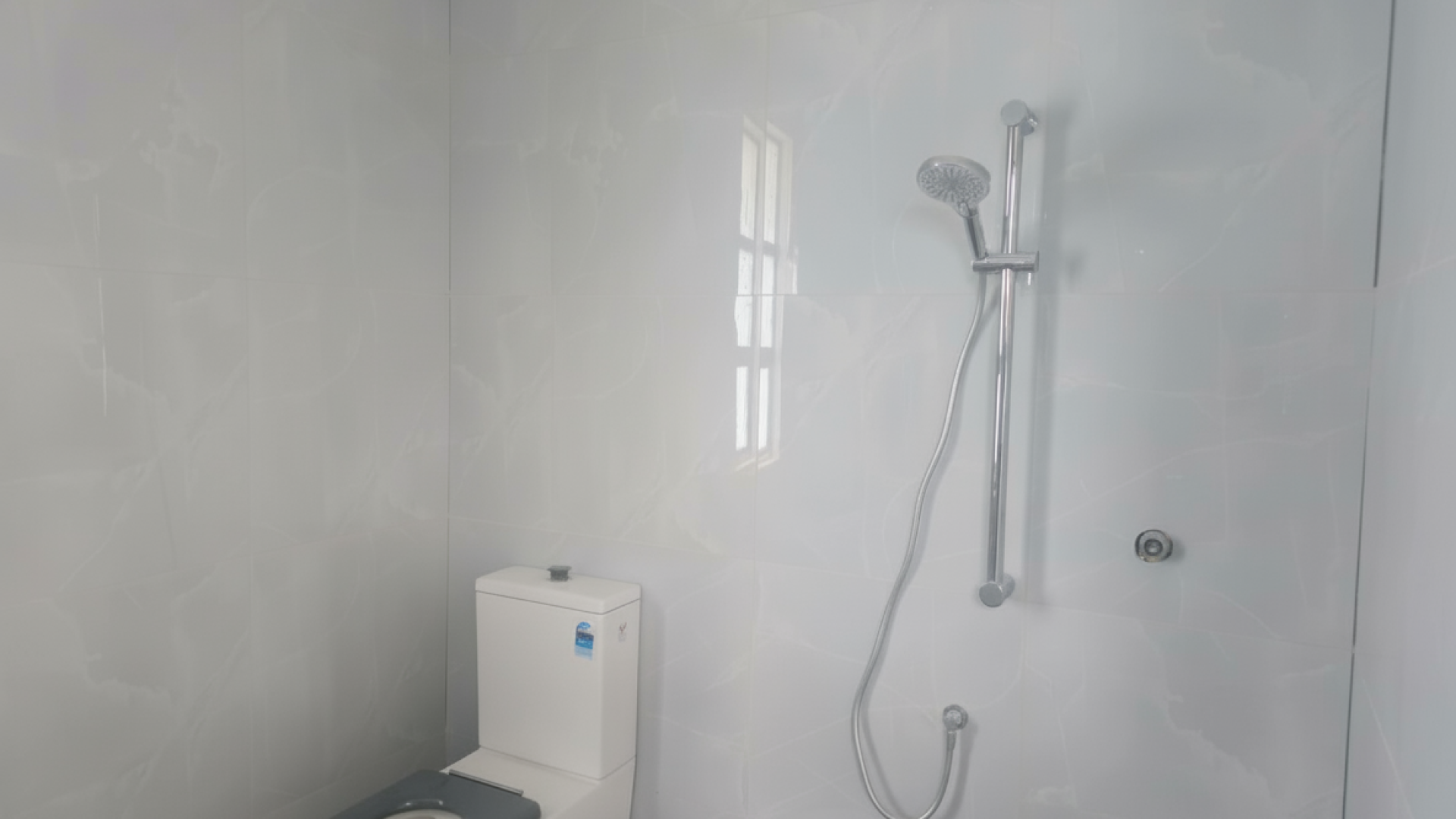 Shower and Toilet